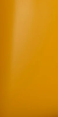 サンライズ・イエローの背景