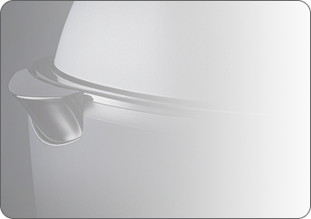 タイガー・オンラインストア限定アイコン